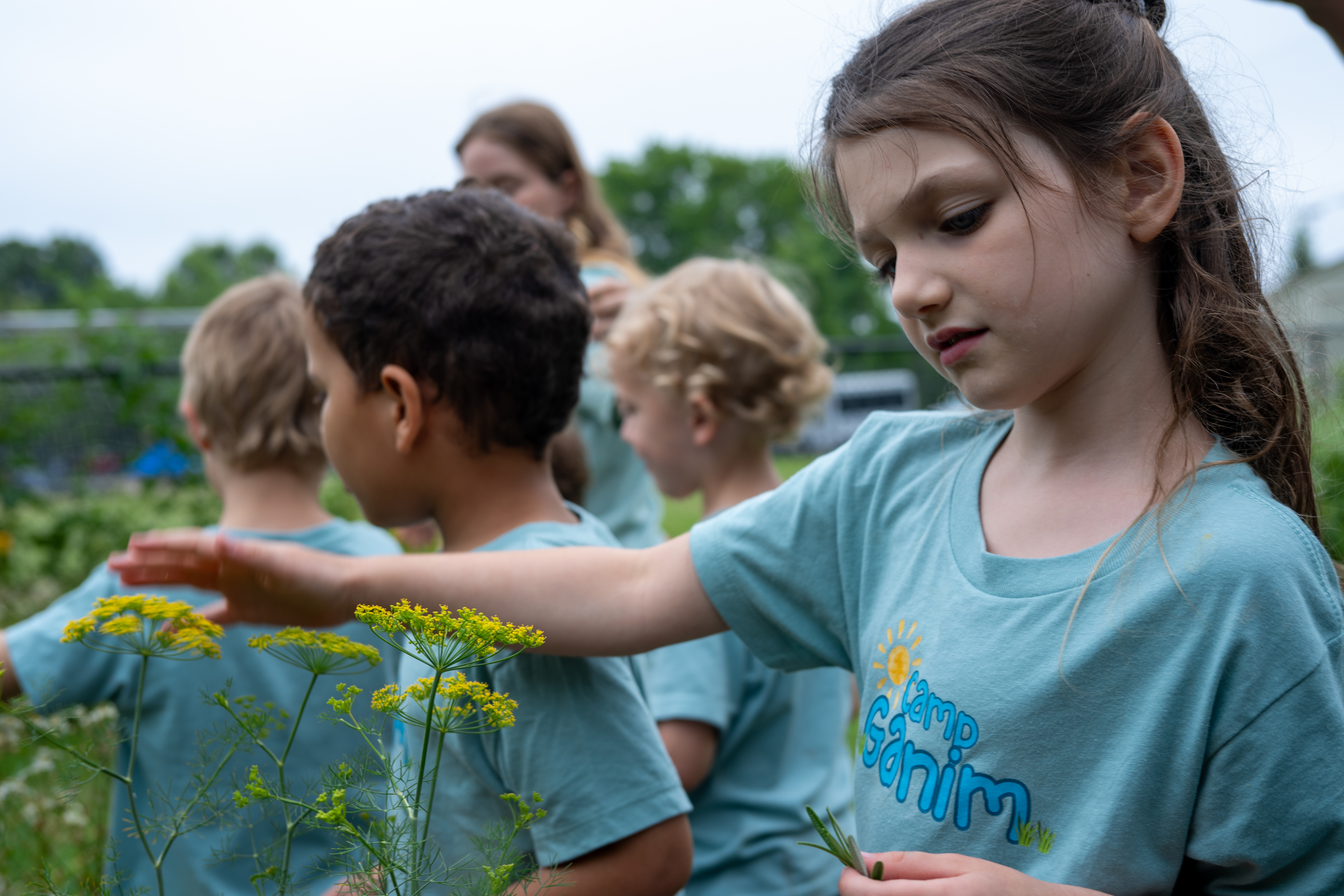 exploring soft plants